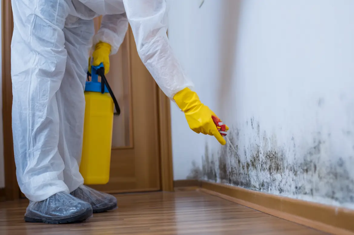 Titusville mold removal company